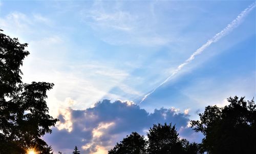 Low angle view of trees against sky