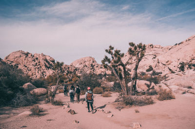 Hikers walking in desert