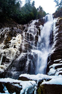 Scenic view of waterfall in forest