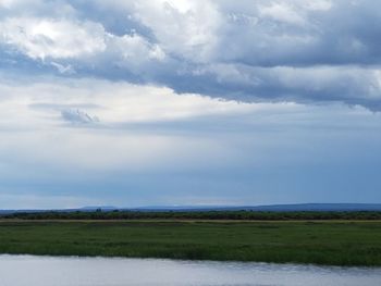 Scenic view of field against sky
