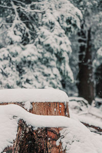 Close-up of snow covered log on field