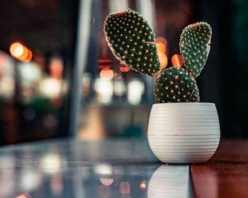 Close-up of illuminated decoration on table in restaurant