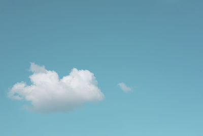 Low angle view of trees against blue sky