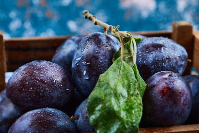 Close-up of grapes on table