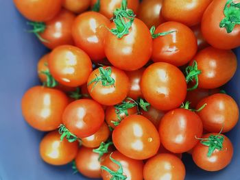 Close-up of tomatoes