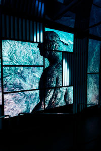 Statue seen through glass window