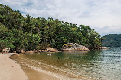 View of beach, sea and forest on cloudy day in paraty mirim, a tropical beach near paraty, brazil.