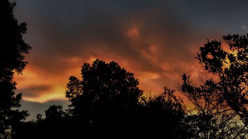 Low angle view of silhouette trees against sky at sunset