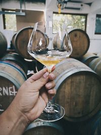 Midsection of person holding wine glass