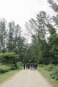 Rear view of people walking on road amidst trees against sky