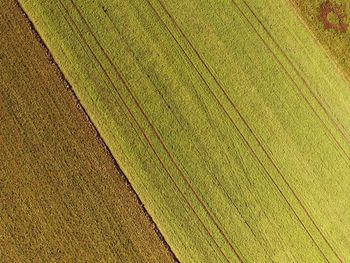 Full frame shot of agricultural field