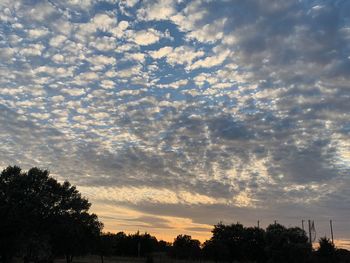 Low angle view of silhouette trees against sky during sunset