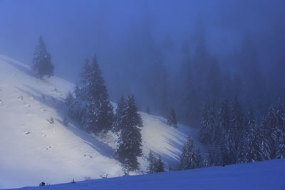 cold temperature