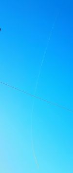 Low angle view of tree against clear blue sky