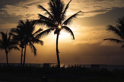 Silhouette palm trees against sky during sunset