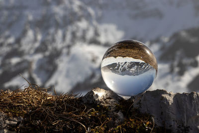 Close-up of crystal ball on rock