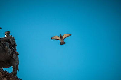 Low angle view of bird flying against clear blue sky