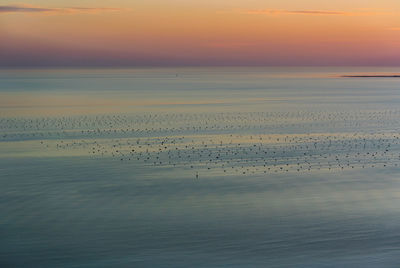 Birds flying over sea against cloudy sky during sunset