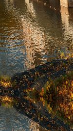 Scenic view of lake