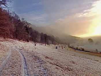 Bare trees on snow covered landscape