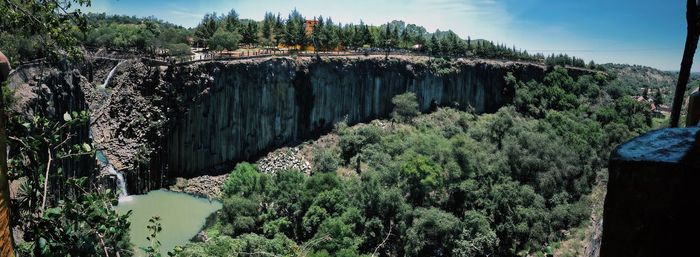Panoramic view of forest against sky