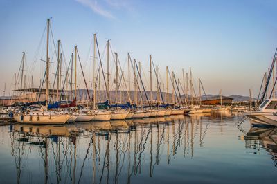 Sailboats moored in harbor