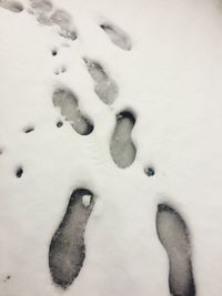 High angle view of snow on leaf during winter