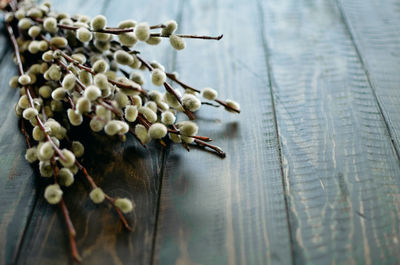 High angle view of white rose on table