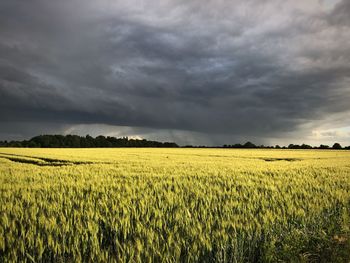 Scenic view of agricultural field against sky