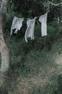 Clothes drying on clothesline