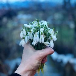 Close-up of hand holding flowers