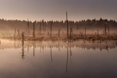 Reflection of silhouette trees in lake against sky