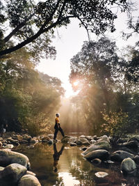 Rear view of man standing on rock in forest