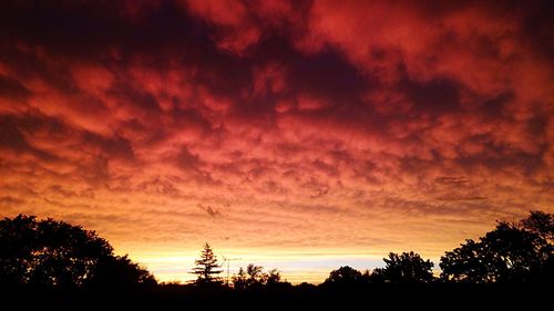 Silhouette of trees against cloudy sky