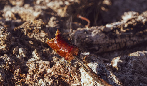 Sausage on a stick on fire