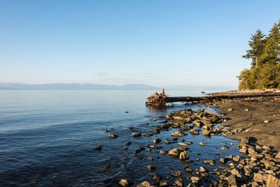 Scenic view of sea against clear blue sky