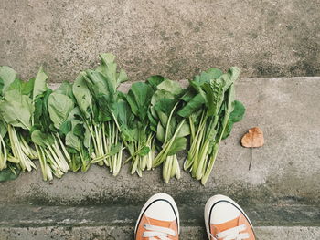 Shoes by vegetables on walkway