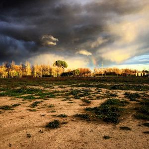 Scenic view of field against sky during sunset