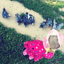 High angle view of girl on field