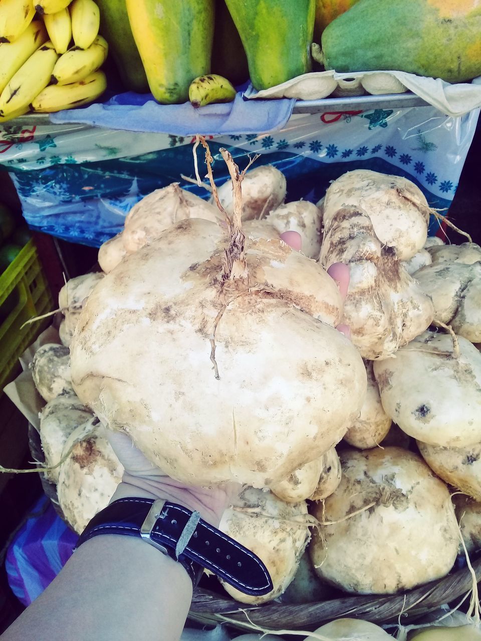 CLOSE-UP OF HAND FOR SALE AT MARKET STALL