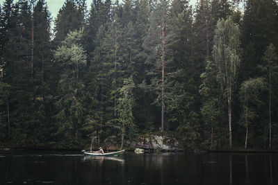 Scenic view of lake in forest