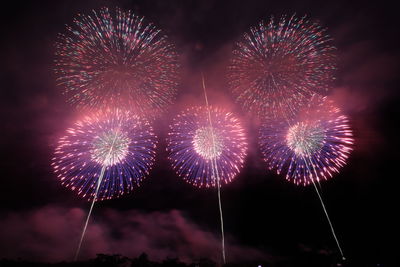 Low angle view of firework display at night