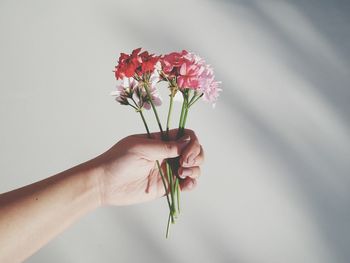 Cropped hand holding flowers against wall