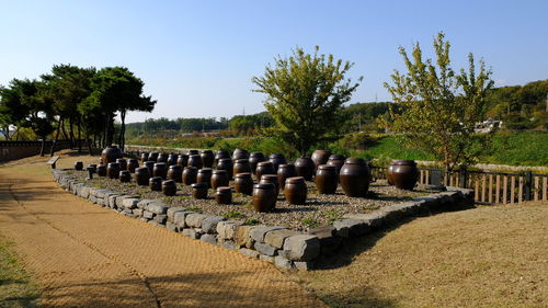 Korean traditional storage jar. say hangahri.