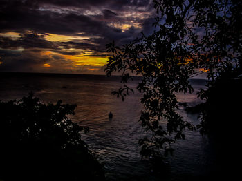 Silhouette of tree and sea at sunset