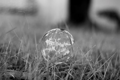 Close-up of crystal ball on grass