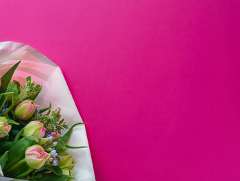 Close-up of rose bouquet against pink wall