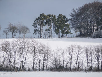 Scenic view of snow covered landscape