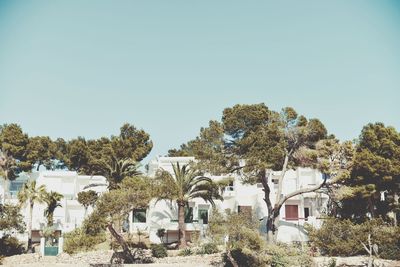 Houses against clear blue sky