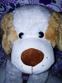 Close-up of stuffed toy